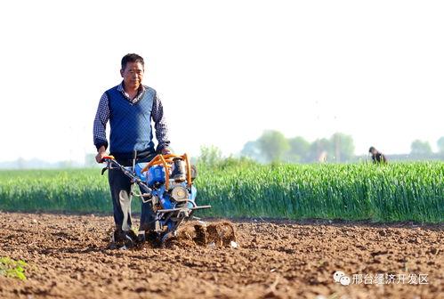 沙河农民爆料最新,揭秘农村发展新动向  第2张